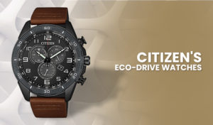 citizen eco drive 22p