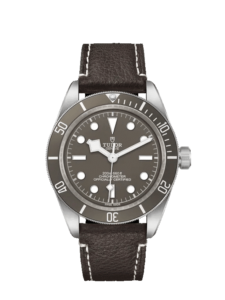 Tudor Black Bay Fifty-Eight 925 (Approx. $4,300)